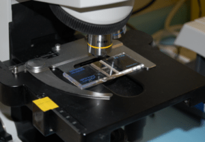 photo of lab test