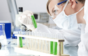 How to Make Synthetic Urine