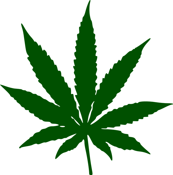 Weed