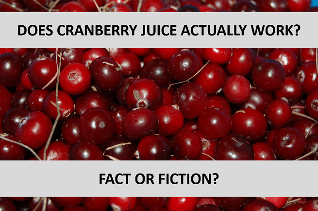 cranberry header