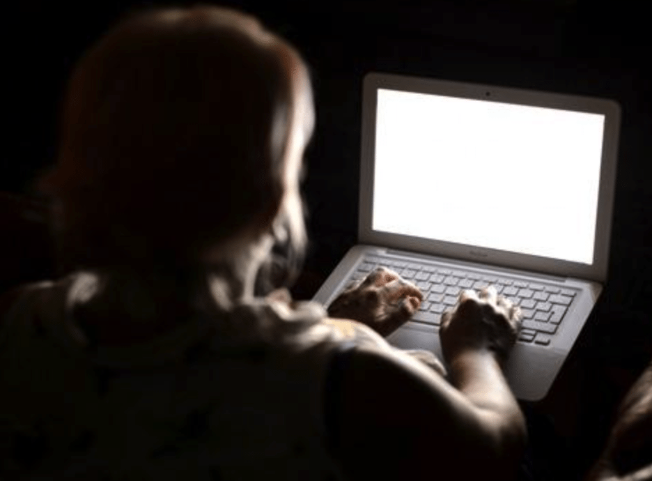 person on a computer, xstream synthetic urine review conclusion