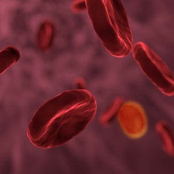blood stream